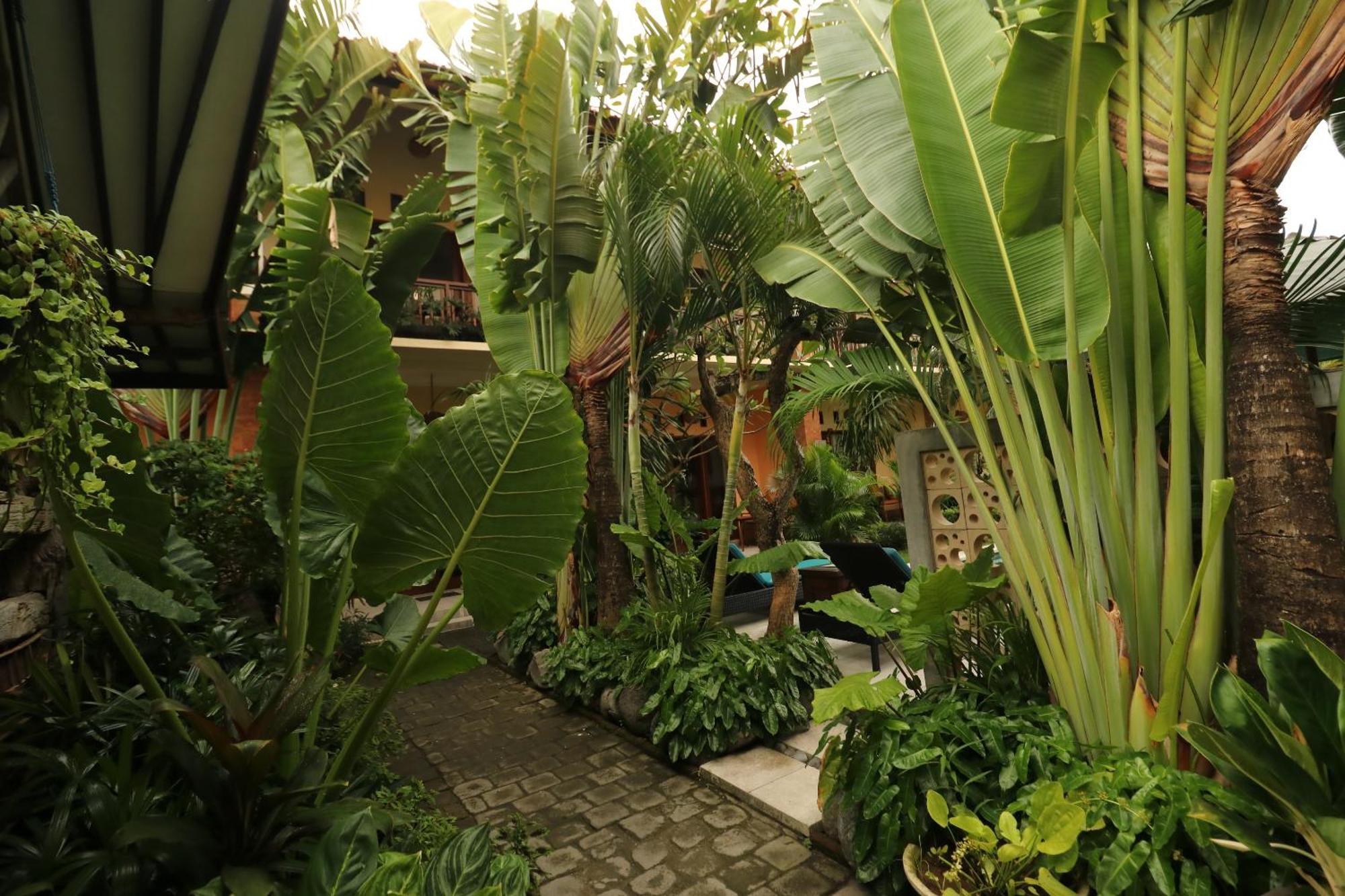 Mina Pelasa Hotel Легиан Экстерьер фото